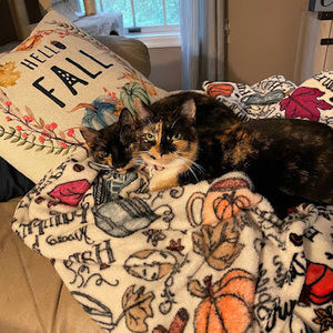 Meet your Posher, Shannon